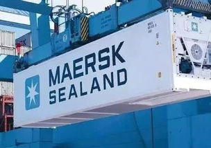 東莞國際物流漕幫 中國市場冷凍食品進口爆炸式增長下的國際物流機遇與挑戰(zhàn)